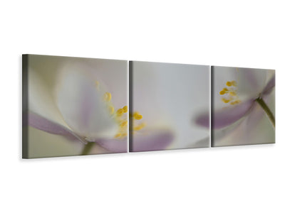 panoramic-3-piece-canvas-print-soft-whispering