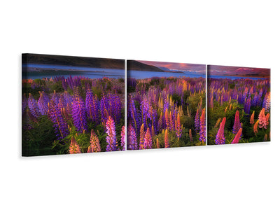 panoramic-3-piece-canvas-print-springtime-rush