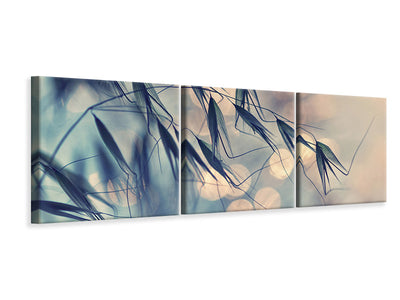 panoramic-3-piece-canvas-print-straws