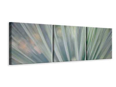 panoramic-3-piece-canvas-print-strip-of-plant