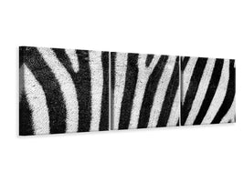 panoramic-3-piece-canvas-print-strip-of-the-zebra