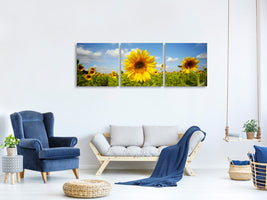panoramic-3-piece-canvas-print-summer-sunflowers
