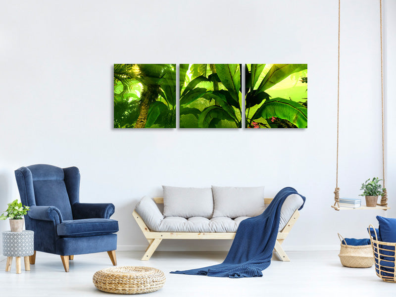 panoramic-3-piece-canvas-print-sunrise-in-the-rainforest