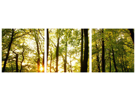 panoramic-3-piece-canvas-print-sunset-between-trees