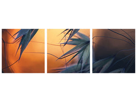 panoramic-3-piece-canvas-print-sunset-p