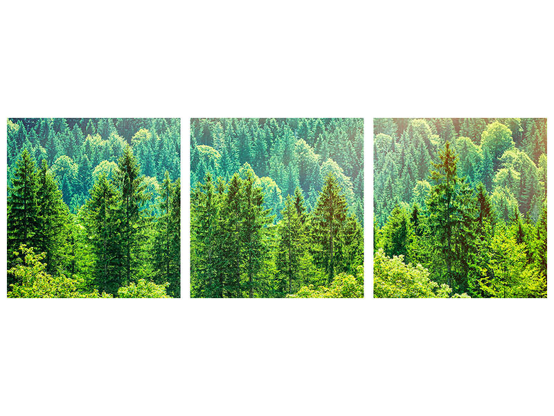 panoramic-3-piece-canvas-print-the-forest-hill