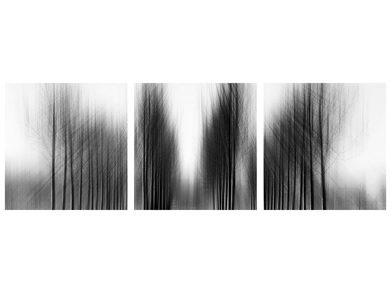 panoramic-3-piece-canvas-print-tree-architecture