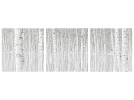 panoramic-3-piece-canvas-print-trees