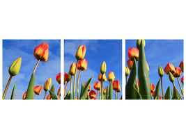 panoramic-3-piece-canvas-print-tulips-tower-to-the-sky