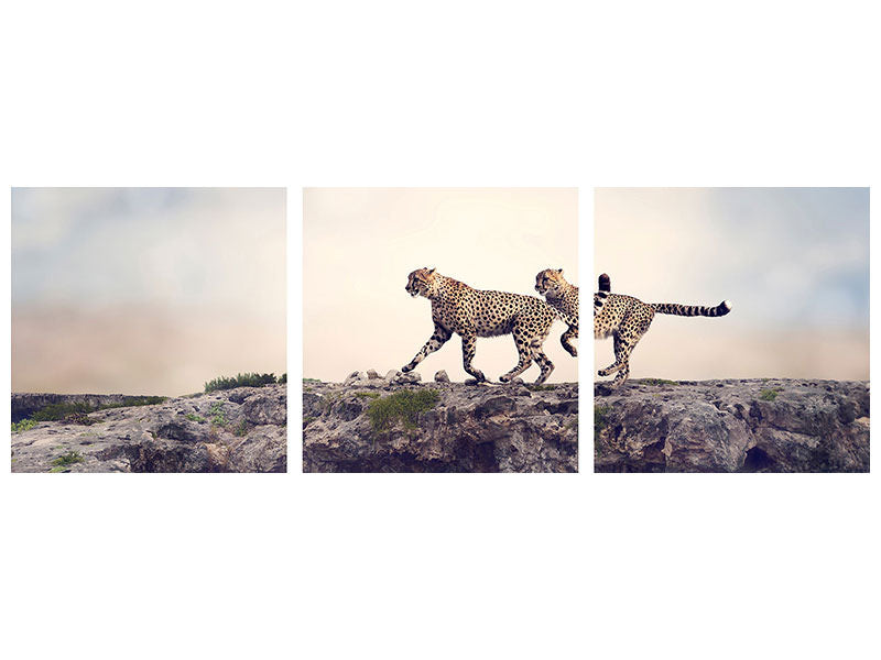 panoramic-3-piece-canvas-print-two-cheetahs