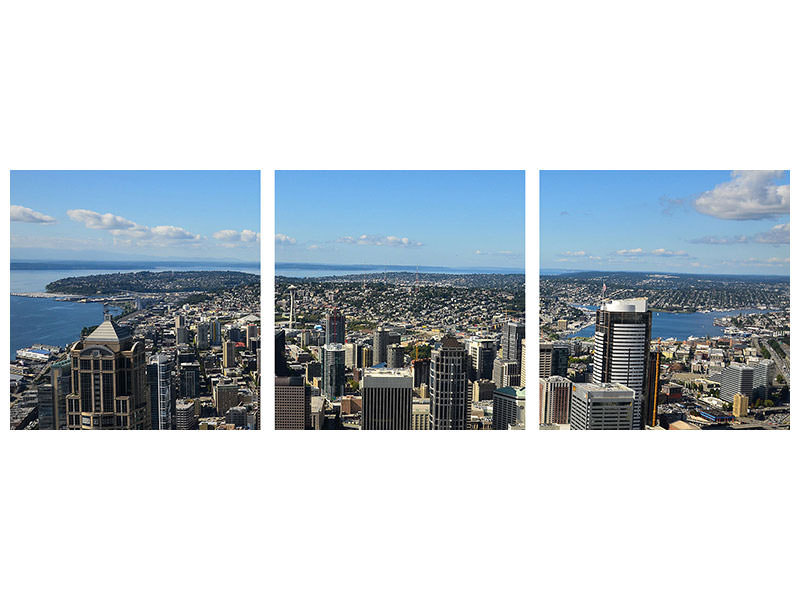 panoramic-3-piece-canvas-print-ultimate-foresight