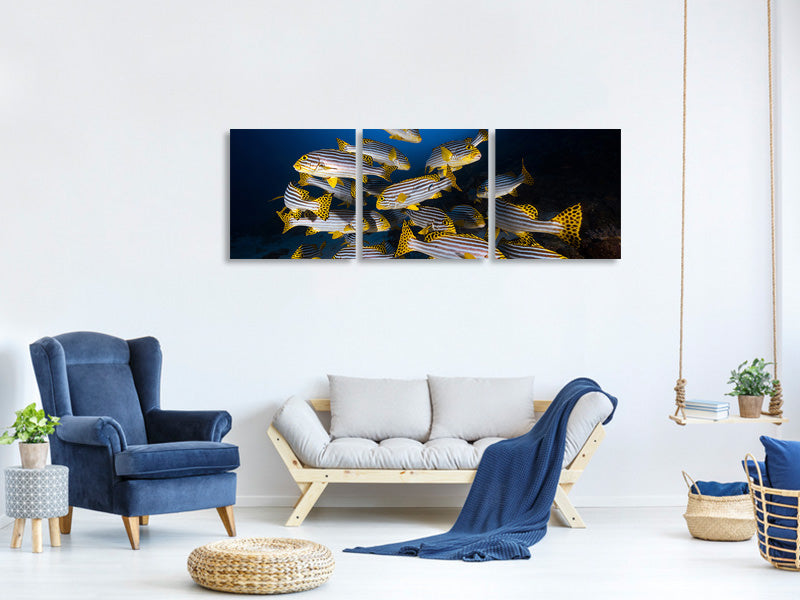 panoramic-3-piece-canvas-print-underwater-photography-indian-ocean-sweetlips