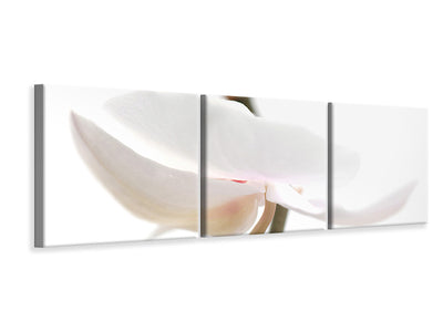 panoramic-3-piece-canvas-print-xxl-orchid-flower