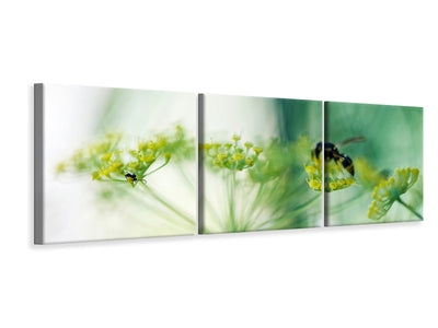 panoramic-3-piece-canvas-print-xxl-parsnip