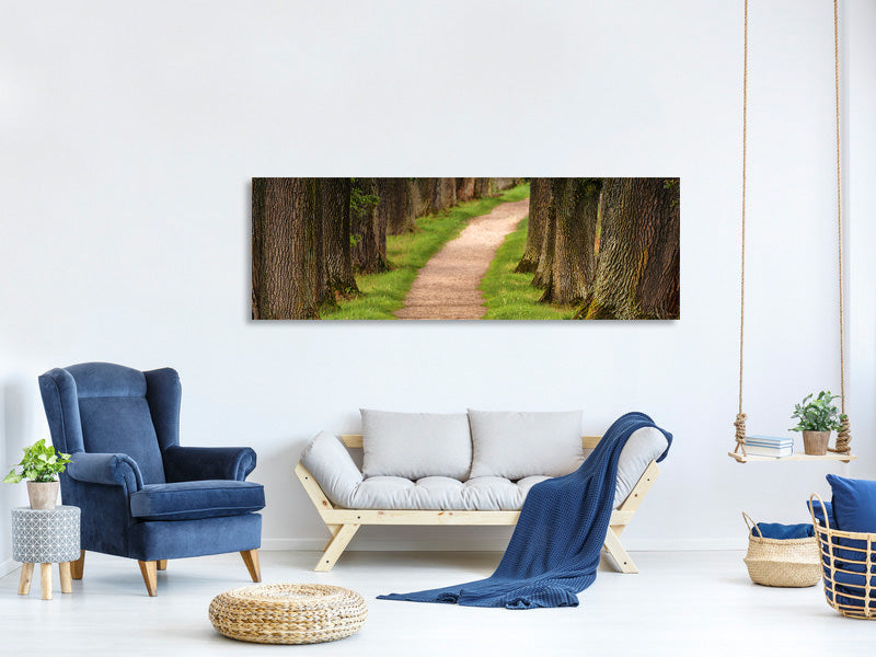 panoramic-canvas-print-a-path-in-the-forest