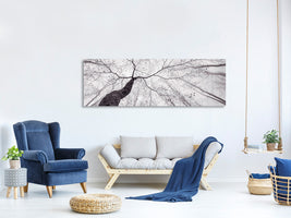 panoramic-canvas-print-a-view-of-the-tree-crown