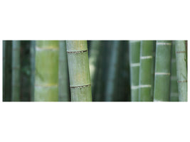 panoramic-canvas-print-bamboo-in-xxl