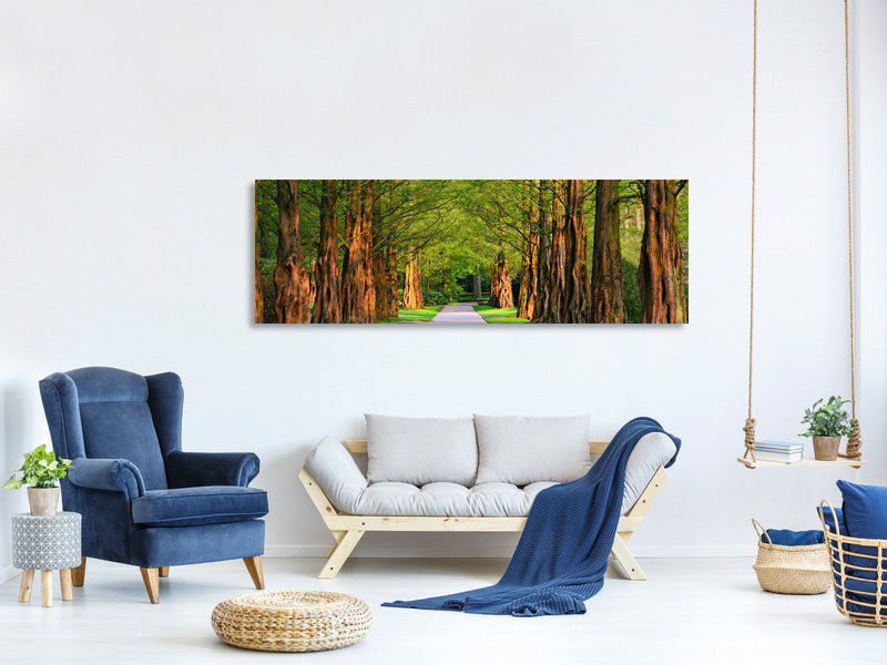 panoramic-canvas-print-beautiful-avenue-in-nature