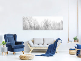 panoramic-canvas-print-birches-in-the-snow