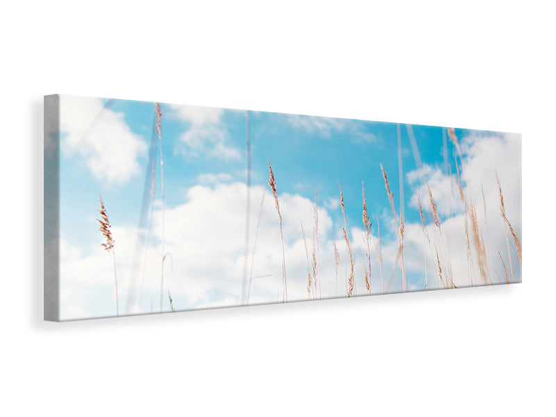 panoramic-canvas-print-blades-of-grass-in-the-sky