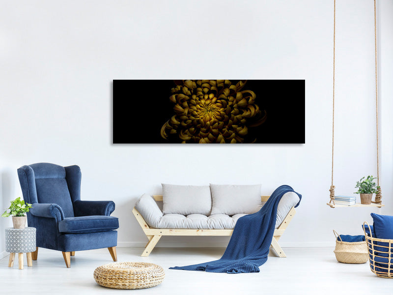 panoramic-canvas-print-chrysanthemum