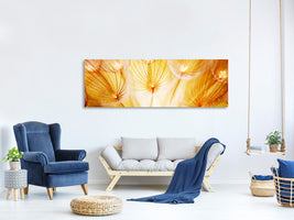 panoramic-canvas-print-close-up-dandelion-in-light