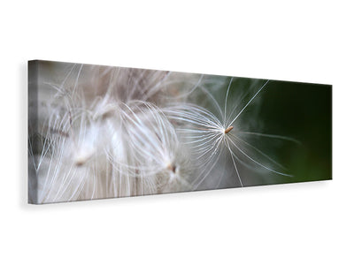 panoramic-canvas-print-close-up-flowers-fibers