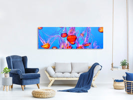 panoramic-canvas-print-colorful-jellyfish