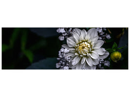 panoramic-canvas-print-dahlia-flower