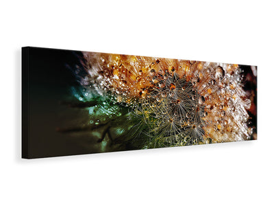 panoramic-canvas-print-dandelion-in-the-morning-dew