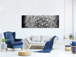 panoramic-canvas-print-dandelion-in-xxl