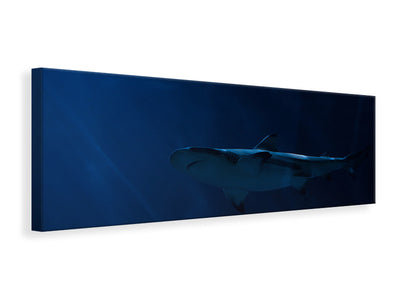 panoramic-canvas-print-dangerous-shark