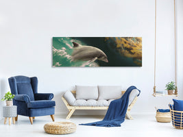 panoramic-canvas-print-fascination-dolphin
