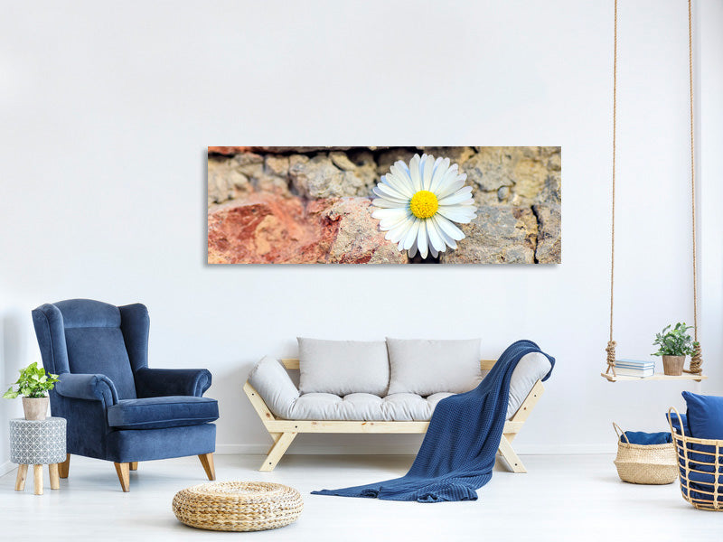 panoramic-canvas-print-flower-in-the-wall