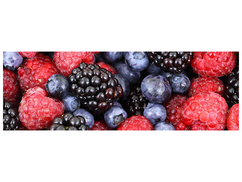 panoramic-canvas-print-fruity-berries