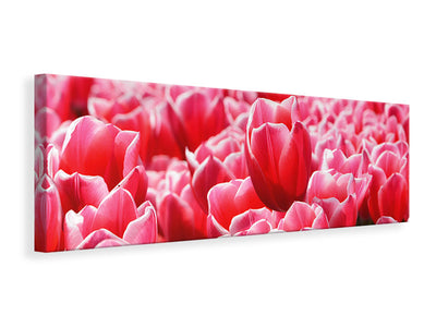 panoramic-canvas-print-happy-tulip-field