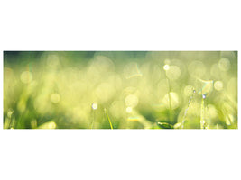 panoramic-canvas-print-in-the-meadow