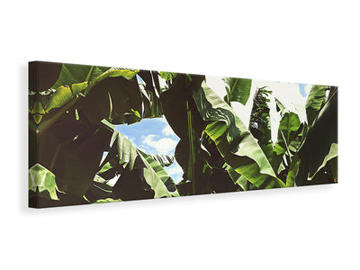 panoramic-canvas-print-in-the-middle-of-the-jungle