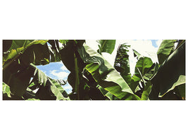 panoramic-canvas-print-in-the-middle-of-the-jungle