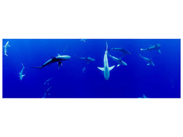 panoramic-canvas-print-in-the-shark-tank