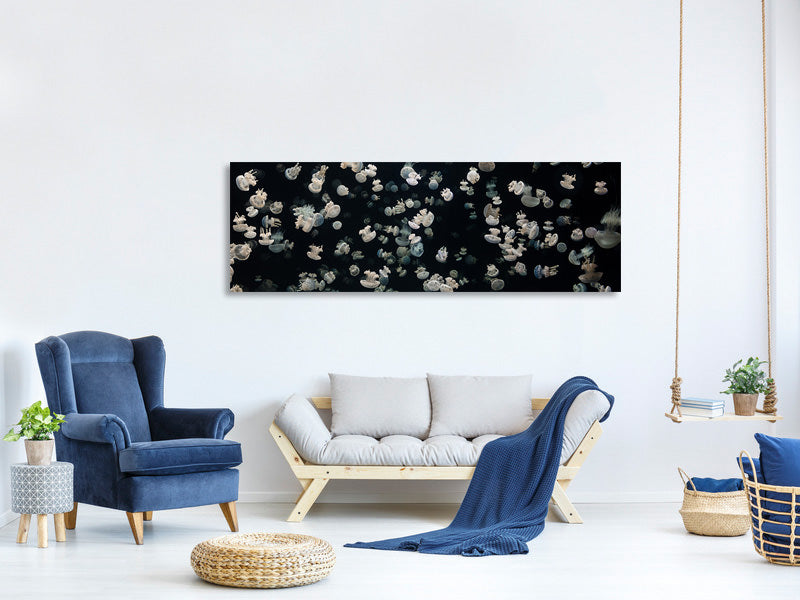 panoramic-canvas-print-just-some-jellies