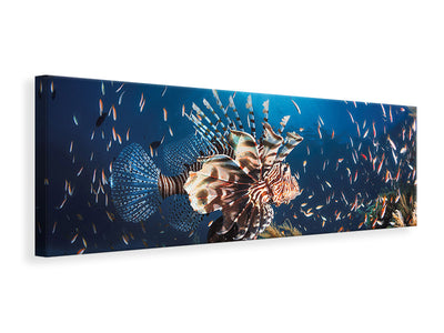 panoramic-canvas-print-lionfish