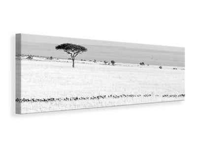 panoramic-canvas-print-marching