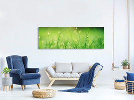 panoramic-canvas-print-meadow-with-morning-dew