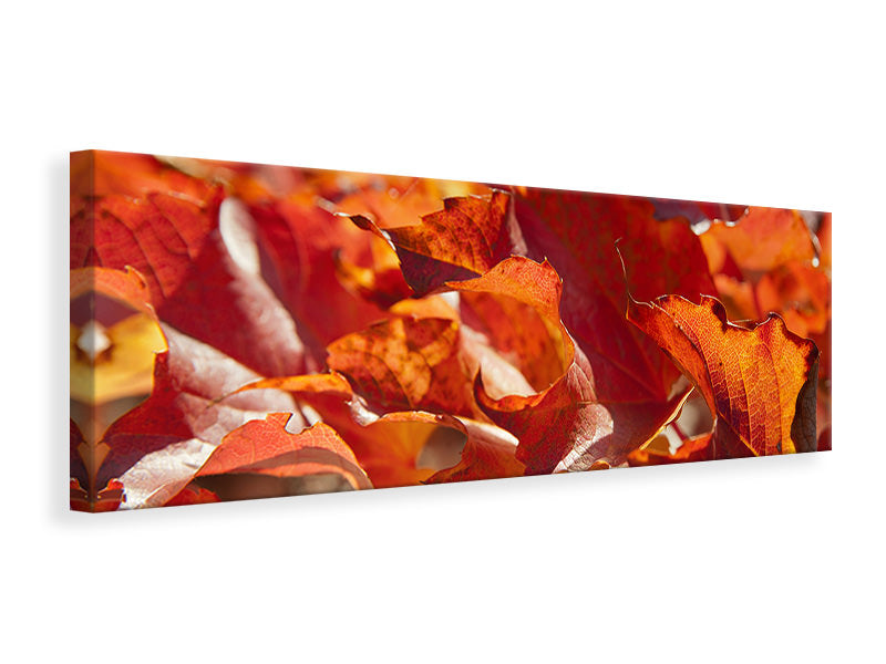 panoramic-canvas-print-nice-autumn-leaves