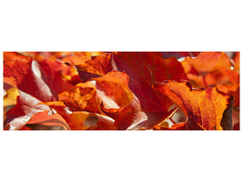 panoramic-canvas-print-nice-autumn-leaves