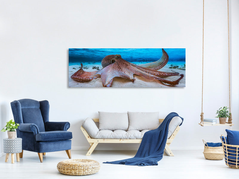 panoramic-canvas-print-octopus