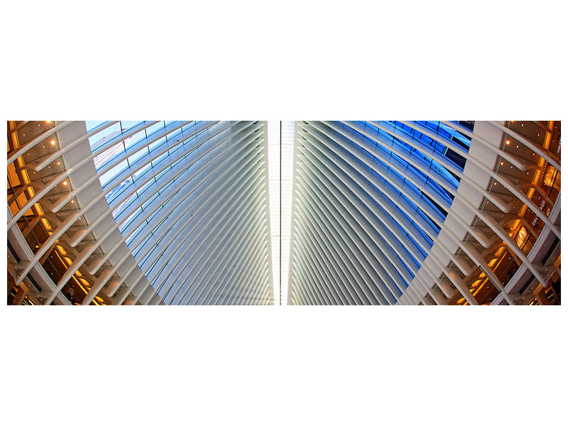 panoramic-canvas-print-oculus