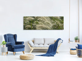 panoramic-canvas-print-ornamental-grass-in-the-wind