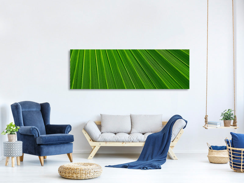 panoramic-canvas-print-palm-stripe-i